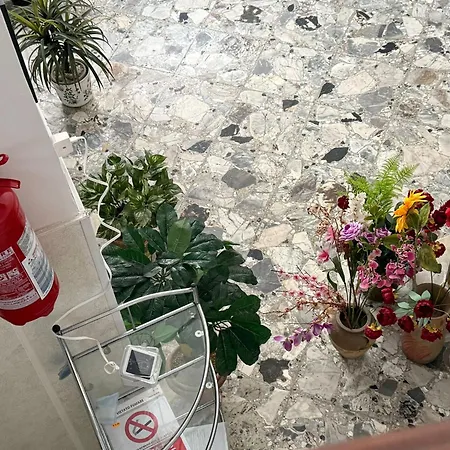 Vakantiehuis Dril Host 2 *