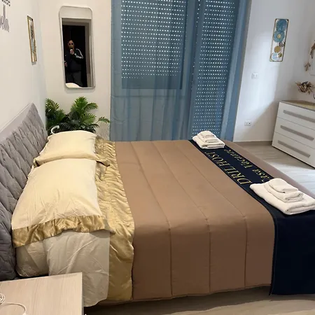 Dril Host 2 * Brindisi